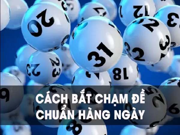 Cách bắt con chạm