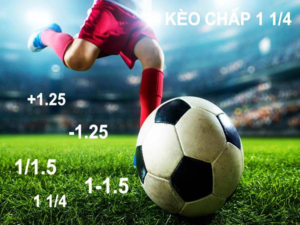 Kèo chấp 1 1/4 trái là gì? Thông tin chi tiết kèo 1 1/4 chi tiết