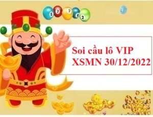 Soi cầu lô VIP XSMN 30/12/2022 hôm nay