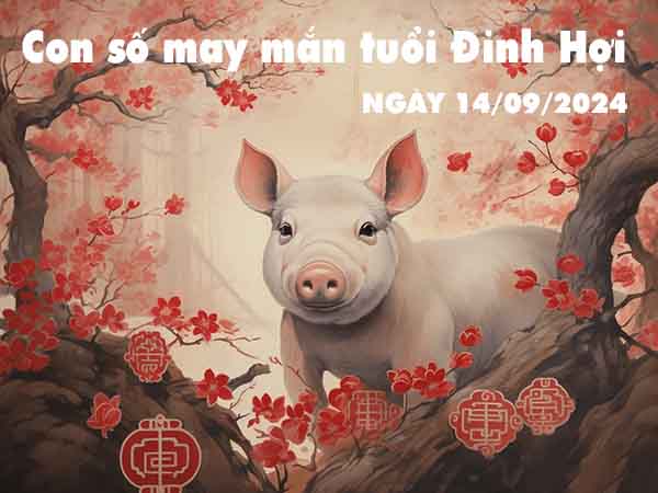 Phân tích con số may mắn tuổi Đinh Hợi ngày 14/9/2024 thứ 7 hôm nay