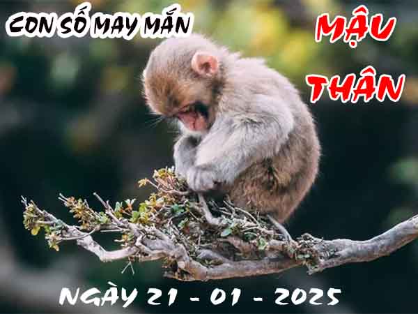 Con số tài lộc tuổi Mậu Thân ngày 21/1/2025 thứ 3 hôm nay