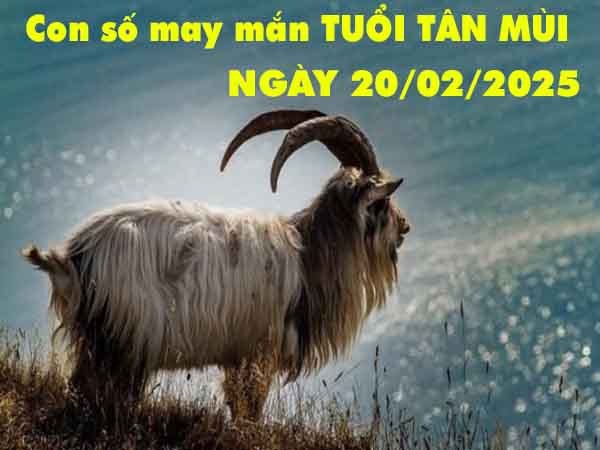 Con số may mắn tuổi Tân Mùi ngày 20/2/2025 thứ 5 hôm nay