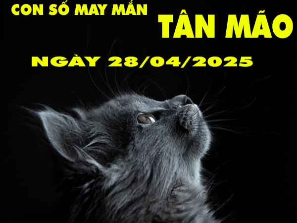 Con số may mắn tuổi Tân Mão ngày 28/4/2025 thứ 2 hôm nay