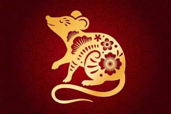 Gợi ý số may mắn tuổi Tý hôm nay giúp tài vận bùng nổ