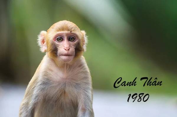 Tài vận bùng nổ nhờ số tài lộc tuổi Canh Thân 27/8/2025?