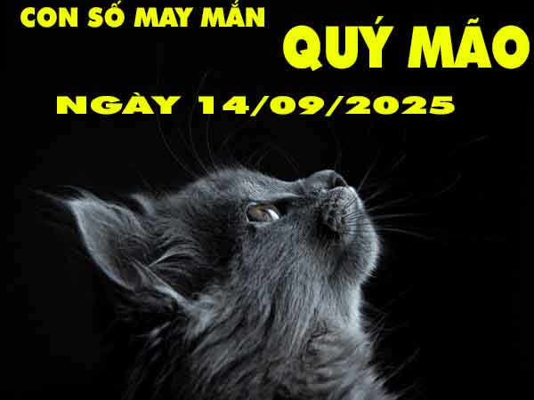 Con số may mắn tuổi Quý Mão ngày 14/9/2025 chủ nhật hôm nay