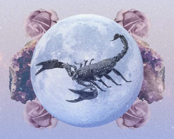 Hé lộ số phát tài cung Bọ Cạp 29/10/2025 cực chuẩn xác