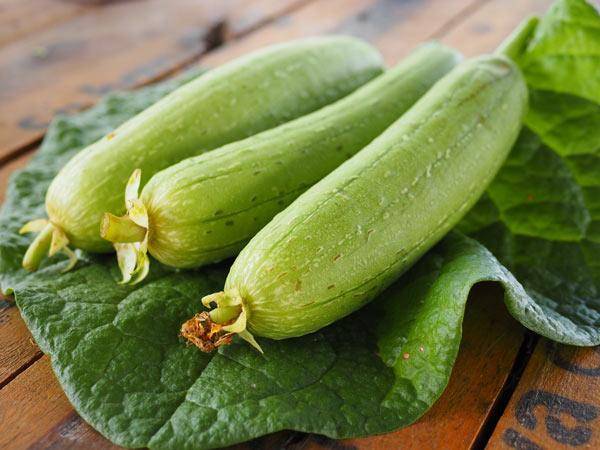 Giấc mơ thấy quả mướp: Liệu có liên quan đến vận may?