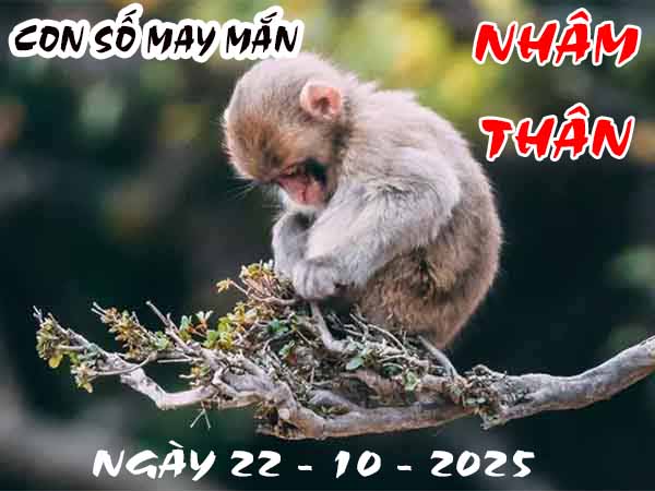 Con số may mắn tuổi Nhâm Thân ngày 22/10/2025 thứ 4 hôm nay