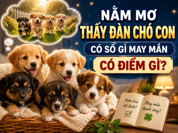 Nằm mơ thấy đàn chó con có số gì may mắn có điềm gì