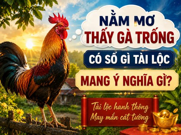 Nằm mơ thấy gà trống có số gì tài lộc mang ý nghĩa gì
