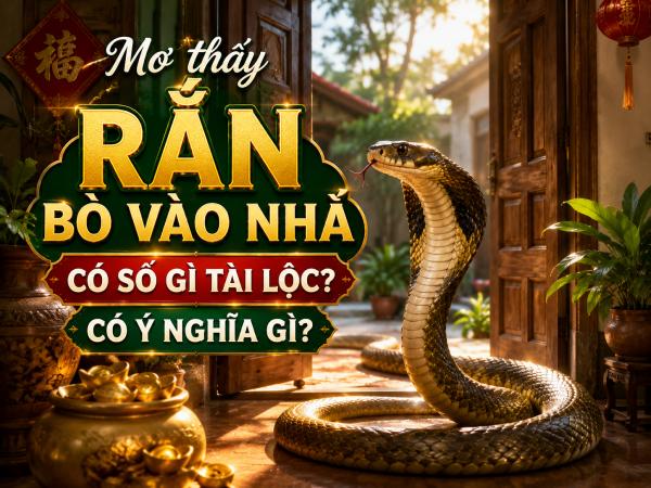 Mơ thấy rắn bò vào nhà có số gì tài lộc có ý nghĩa gì