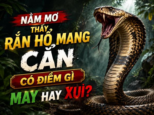 Nằm mơ thấy rắn hổ mang cắn có điềm gì may hay xui