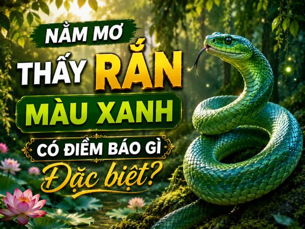 Nằm mơ thấy rắn màu xanh có điềm báo gì đặc biệt