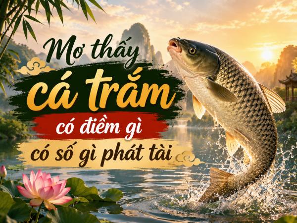 Mơ thấy cá trắm có điềm gì có số gì phát tài