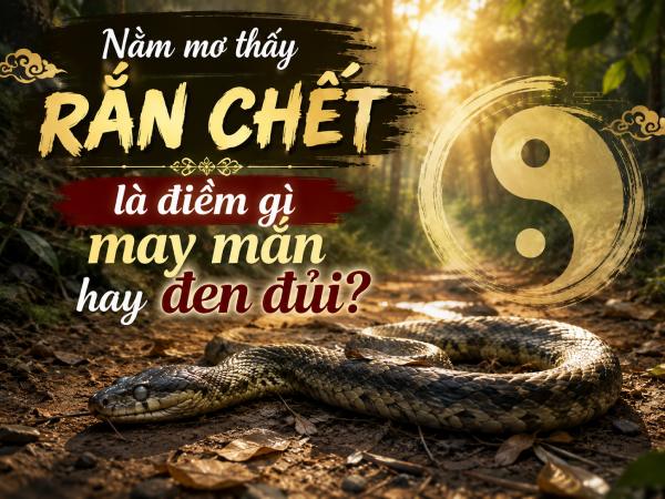 Nằm mơ thấy rắn chết là điềm gì may mắn hay đen đủi