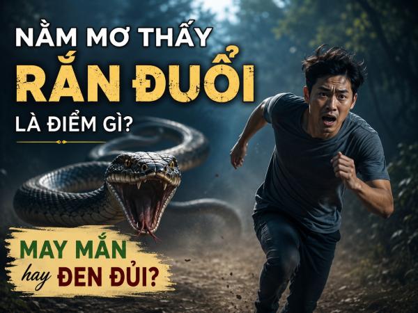 Nằm mơ thấy rắn đuổi là điềm gì may mắn hay đen đủi