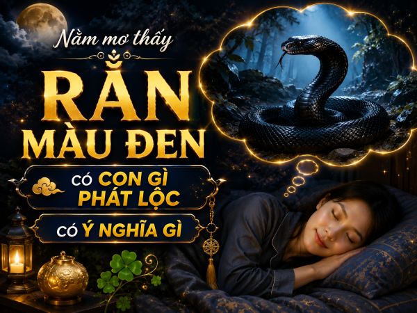 Nằm mơ thấy rắn màu đen có con gì phát lộc có ý nghĩa gì